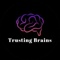 trusting-brains-it-services-private