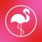 neon-flamingo-creative