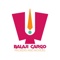 balaji-cargo-packers-movers-pune