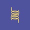 iellou-design