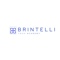brintelli-tech-academy