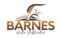 barnes-author-publication