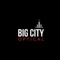 big-city-optical-oak-brook