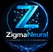 zigmaneural