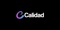calidad-technolab