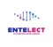 entelect-0