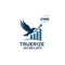 truerize-iq-strategic-solutions