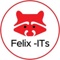 felix-its