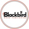 blackbird-book-publishing