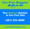 lice-free-noggins-dc-natural-lice-removal-lice-treatment-service
