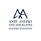 ca-amit-anhad-associates