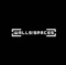 walls-spaces-global