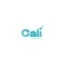 cali-web-pros