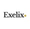 exelix-business-consulting