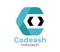 codeash-infotech-0