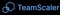 teamscaler