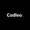 codleo-consulting-salesforce-summit-partner