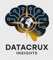 datacrux-insights-private