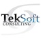 teksoft-consulting