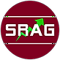 srag-management-consulting-service