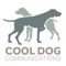 cool-dog-communications