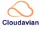 cloudavian