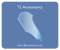 tl-accountancy-sacramento