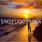 jungle-light-studios