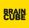 braincube