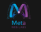 meta-web-labs