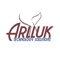 arlluk-technology-solutions