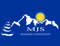 mjs-consultants