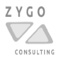zygo-consulting