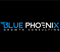 blue-phoenix-growth-consulting