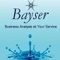 bayser-consulting