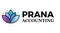 prana-accounting