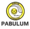 pabulum-consulting
