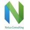 netco-consulting