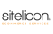 sitelicon-ecommerce-services