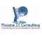 piccone-it-consulting