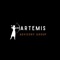 artemis-advisory-group