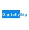 creative-digital-marketing-agency-delhi-digitally-big