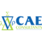 cae-consultants