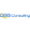 dss-consulting