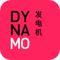 dynamo-consulting