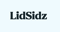 lidsidz