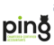 ping-chartered-accountants