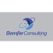 bamfer-consulting