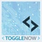 togglenow-software-solutions