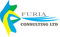 furia-consulting